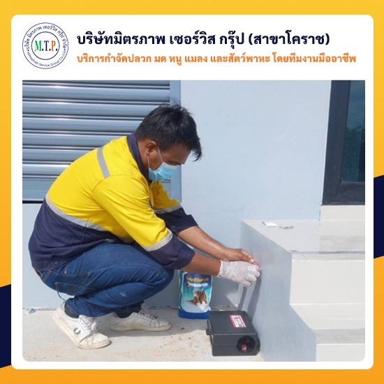 รับกำจัดหนูโคราช รับกำจัดหนูโคราช 