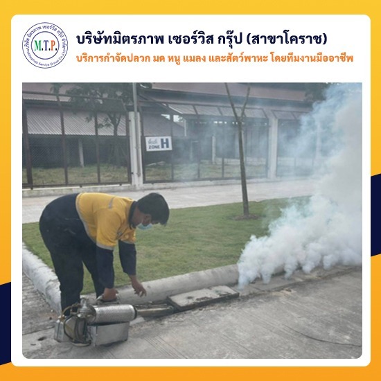 รับฉีดพ่นควันกำจัดยุงโคราช รับฉีดพ่นควันกำจัดยุงโคราช 