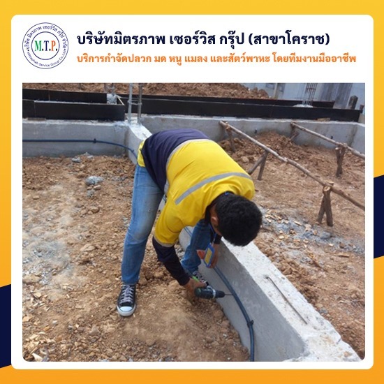 รับวางระบบท่อกำจัดปลวกโคราช รับวางระบบท่อกำจัดปลวกโคราช 