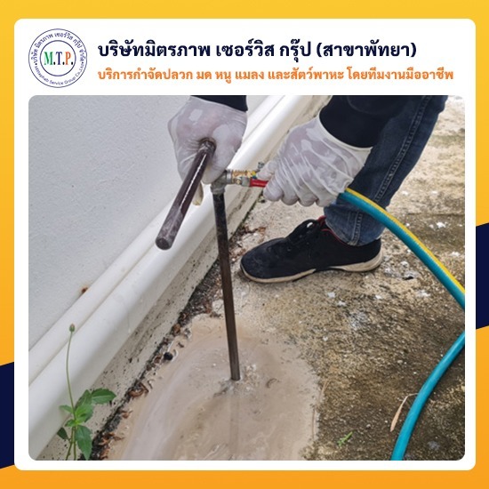 รับกำจัดปลวกพัทยา รับกำจัดปลวกพัทยา 