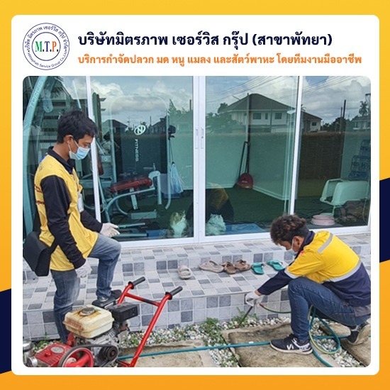 รับกำจัดปลวกราคาถูกชลบุรี รับกำจัดปลวกราคาถูกชลบุรี 