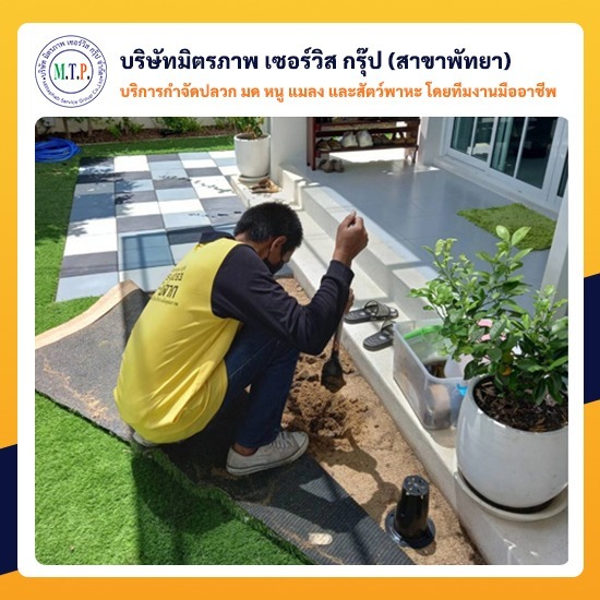 กําจัดปลวกและแมลงพัทยา กําจัดปลวกและแมลงพัทยา 