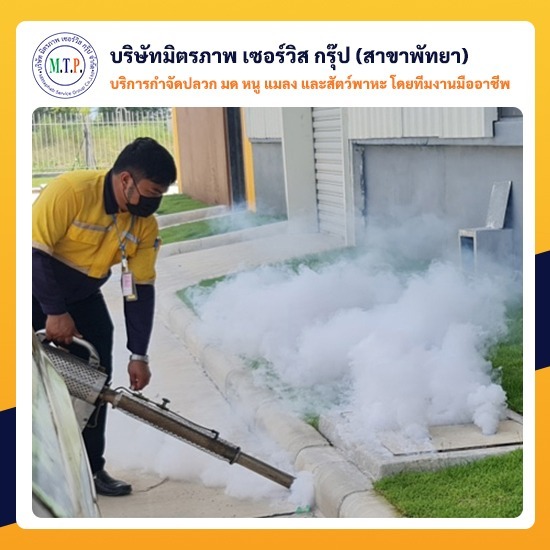 บริการฉีดพ่นกำจัดยุงพัทยา บริการฉีดพ่นกำจัดยุงพัทยา 