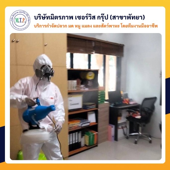 บริการพ่นฆ่าเชื้อในบ้าน อาคาร พัทยา บริการพ่นฆ่าเชื้อในบ้าน-อาคาร พัทยา 