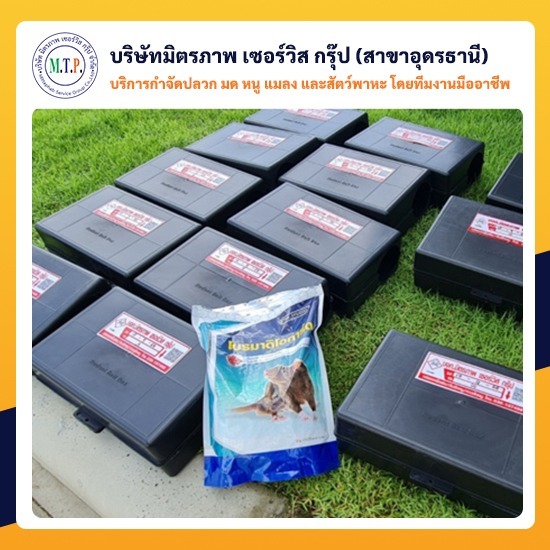 กำจัดหนูอุดรธานี กำจัดหนูอุดรธานี 