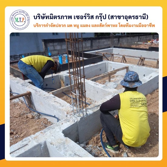 จ้างเหมาบริการกำจัดปลวกแมลงอุดรธานี จ้างเหมาบริการกำจัดปลวกแมลงอุดรธานี 