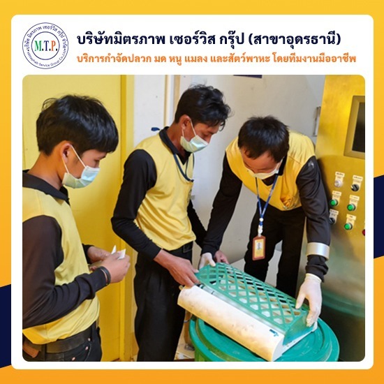 บริษัทกำจัดแมลงอุดรธานี บริษัทกำจัดแมลงอุดรธานี 