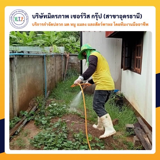 รับกำจัดมดอุดรธานี รับกำจัดมดอุดรธานี 