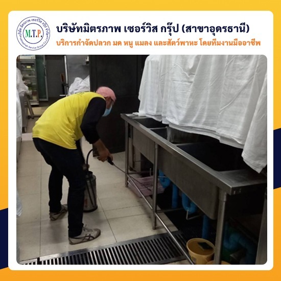 รับกำจัดแมลงสาบอุดร รับกำจัดแมลงสาบอุดร 