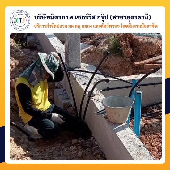 รับเหมาวางท่อกำจัดปลวกอุดรธานี รับเหมาวางท่อกำจัดปลวกอุดรธานี 