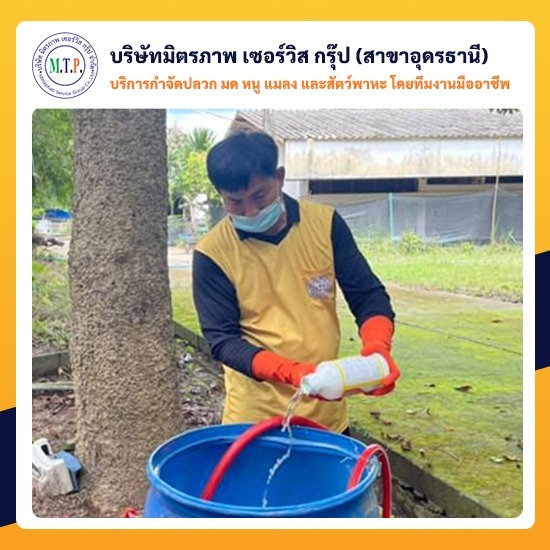 กำจัดปลวกอุดรธานีราคาถูก กำจัดปลวกอุดรธานีราคาถูก 