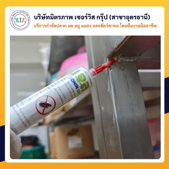 กำจัดแมลงสาบอุดรธานี กำจัดแมลงสาบอุดรธานี 