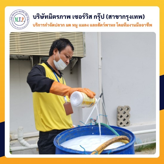 รับกำจัดปลวกนนทบุรี รับกำจัดปลวกนนทบุรี 