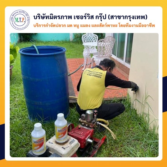 รับฉีดปลวกบ้าน กรุงเทพ รับฉีดปลวกบ้าน กรุงเทพ 