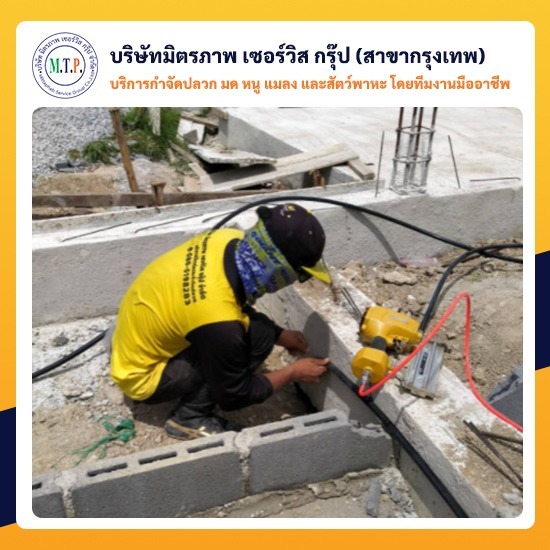 รับเหมาวางท่อกำจัดปลวก กรุงเทพ รับเหมาวางท่อกำจัดปลวก กรุงเทพ 