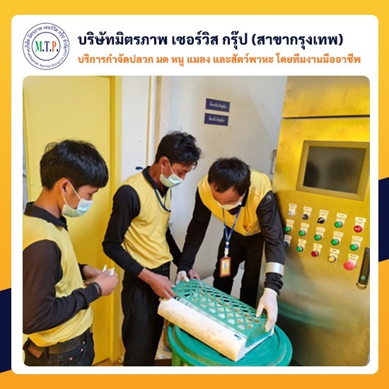 บริษัทกําจัดแมลง กทม บริษัทกําจัดแมลง กทม 