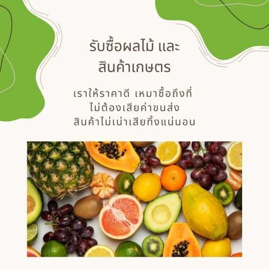 รับซื้อสินค้าเกษตร รับซื้อสินค้าเกษตร 