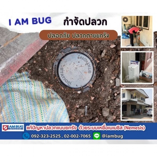 วางท่อกำจัดปลวกราคาถูก วางท่อกำจัดปลวกราคาถูก  วางท่อกำจัดปลวกปทุมธานี  วางท่อกำจัดปลวกรังสิต  วางท่อกำจัดปลวกใกล้ฉัน  วางท่อกำจัดปลวกลำลูกกา  รับวางท่อกำจัดปลวก  บริษัทรับวางท่อกำจัดปลวก  รับวางเหยื่อล่อปลวก ปทุมธานี  บริษัทฉีดปลวกใกล้ฉัน  บริษัทกำจัดปลวกปทุมธานี 