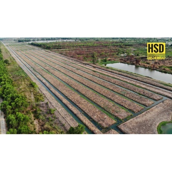 รับทำบ้านสวนเกษตรทฤษฎีใหม่