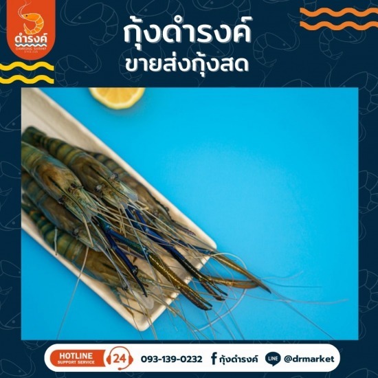 จำหน่ายกุ้งขาวแวนาไมด์ กุ้งสดจากบ่อ  ขายส่งกุ้งสดแกะเปลือก  ร้านขายกุ้งสดใกล้ฉัน  จำหน่ายกุ้งขาวแวนาไมด์  ปลาหมึกสด ราคาส่ง  ร้านขายกุ้งสด  ร้านจำหน่ายขายส่งกุ้งสด  ร้านขายอาหารทะเลสด  สั่งกุ้งสด ออนไลน์  บ่อกุ้งขายส่ง สมุทรปราการ 
