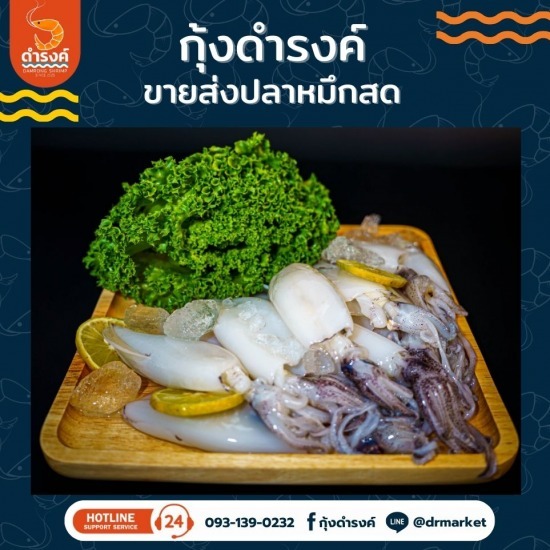ปลาหมึกสด ราคาส่ง ปลาหมึกสด ราคาส่ง  จำหน่ายหมึกสด  ปลาหมึกสดราคาส่ง ใกล้ฉัน  ร้านขายปลาหมึกสดใกล้ฉัน  แหล่งซื้อปลาหมึกสดราคาถูก  ร้านขายปลาหมึกสด สมุทรปราการ  ร้านขายหมึก  ขายส่งปลาหมึกสด 