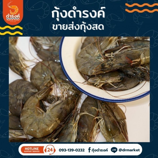 ร้านขายกุ้งสด กุ้งสดจากบ่อ  ขายส่งกุ้งสดแกะเปลือก  จำหน่ายกุ้งขาวแวนาไมด์  ปลาหมึกสด ราคาส่ง  ร้านขายกุ้งสด  ขายส่งกุ้งขาว  ร้านขายกุ้งสดใกล้ฉัน  สั่งกุ้งสด ออนไลน์  บ่อกุ้งขายส่งใกล้ฉัน  บ่อกุ้งขายส่ง สมุทรปราการ 