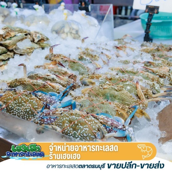 ขายส่งขายปลีกอารหารทะเล ขายส่งขายปลีกอารหารทะเล 