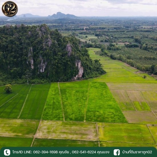 ขายที่ดินในจังหวัดพิษณุโลก ราคาถูก ขายที่ดินในจังหวัดพิษณุโลก ราคาถูก  ขายที่ดิน พิษณุโลก 1 ไร่  ที่ดิน พิษณุโลก เจ้าของขายเอง  ที่ดินขายทอดตลาด กรมบังคับคดี พิษณุโลก  ที่ดิน ขายทอดตลาด พิษณุโลก  ขายที่ดินในเมืองพิษณุโลก 