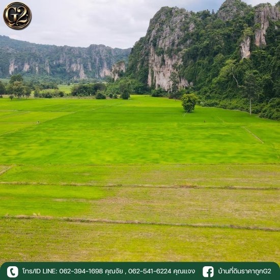 ขายที่ดินในจังหวัดสุโขทัย ราคาถูก ขายที่ดินในจังหวัดสุโขทัย ราคาถูก  ขายที่ดิน สุโขทัย ไร่ละ 30000  ที่ดิน ขายทอดตลาด กรมบังคับคดี สุโขทัย  ที่ดินไร่ละ 100000 สุโขทัย  ขายที่ดินเมืองเก่าสุโขทัย 