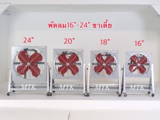 รวมรุ่นใบแดงขาเตี้ย 16-24 นิ้ว รวมรุ่นใบแดงขาเตี้ย 16-24 นิ้ว